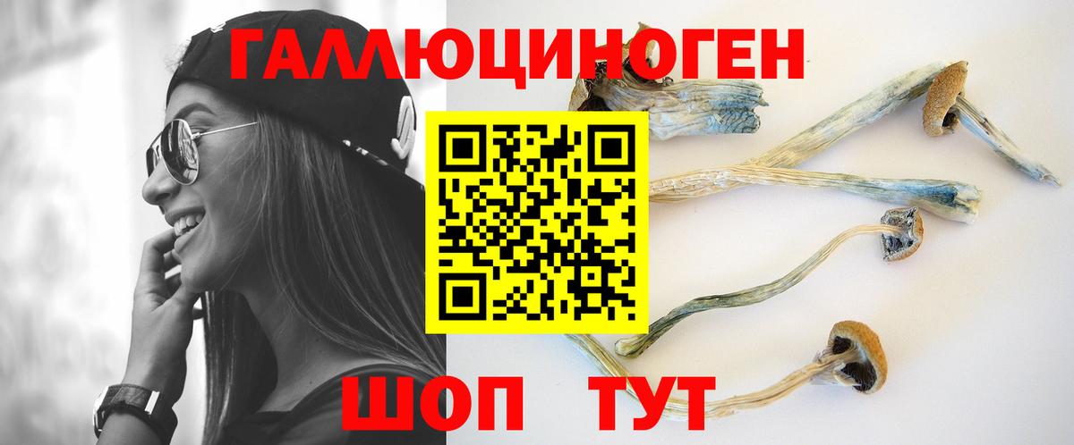 Галлюциногенные грибы Cubensis  Вход с VPN  Унеча  Псилоцибиновые грибы MAGIC MUSHROOMS 