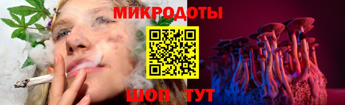 Псилоцибиновые грибы прущие грибы Унеча